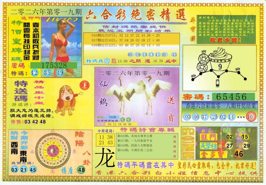 019期绝密精选A[图]